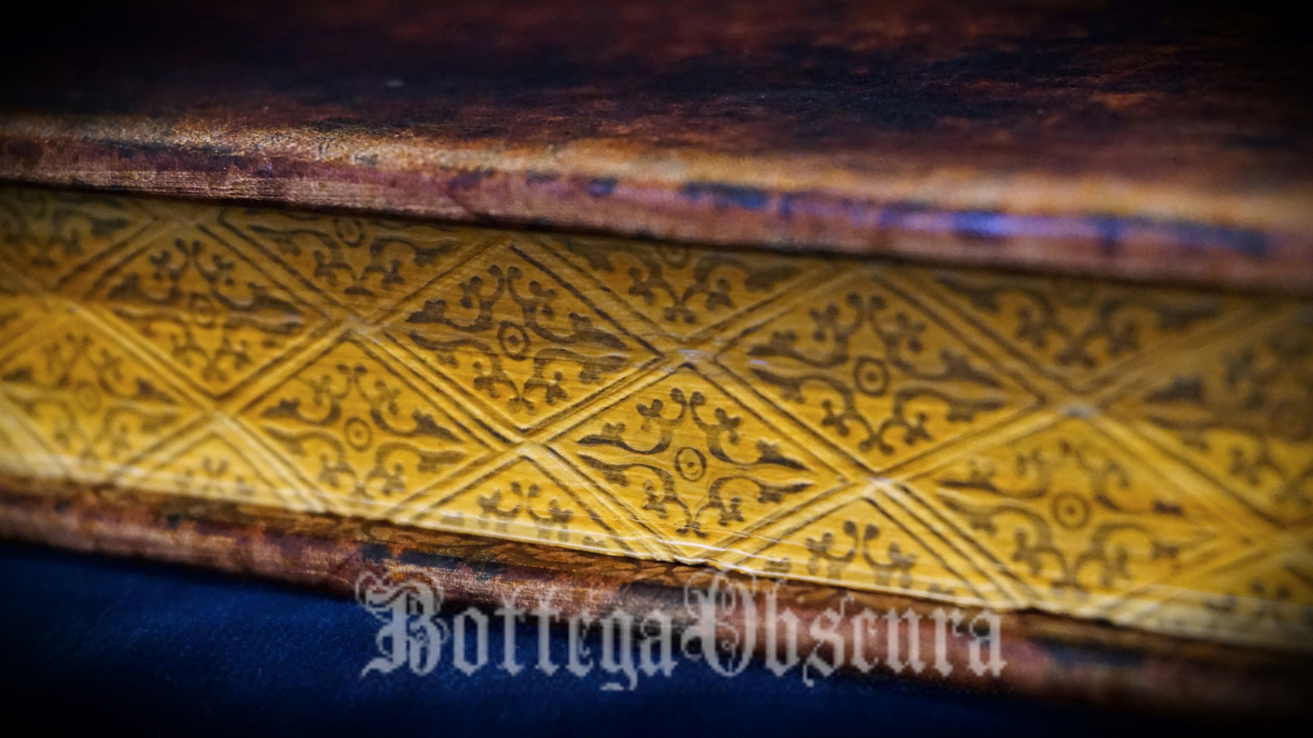 (Reserved for Jack) 18th Century historical binding Naple style, leather bound blank journal