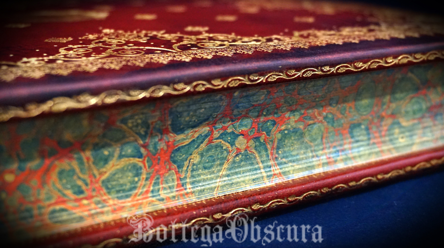 The Complete Chronicles of Narnia by C.S. Lewis, Illustrated by Pauline Baynes, Leather bound book