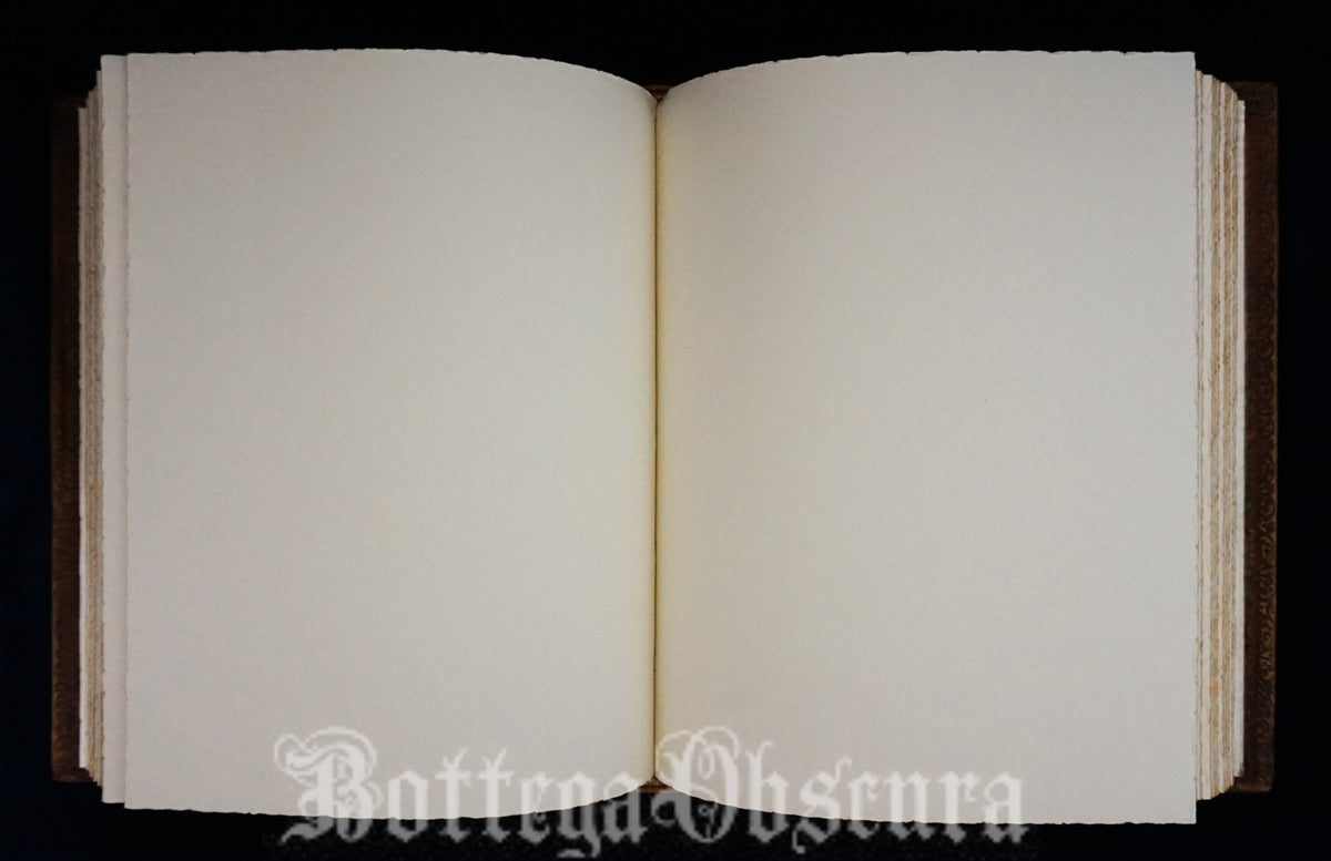 The Nunc Stans journal-Large journal-Personalized journal