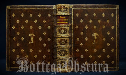 Large Leather Journal – “Great Architect” in A Seminato Style