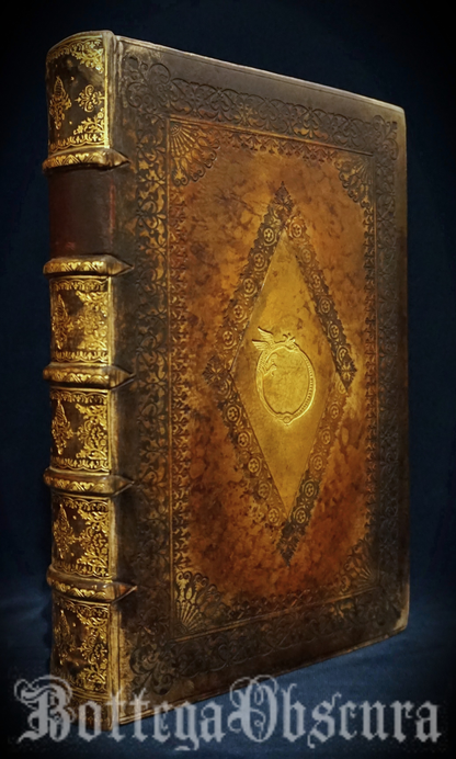 Uroboros journal, large journal, personalized journal.