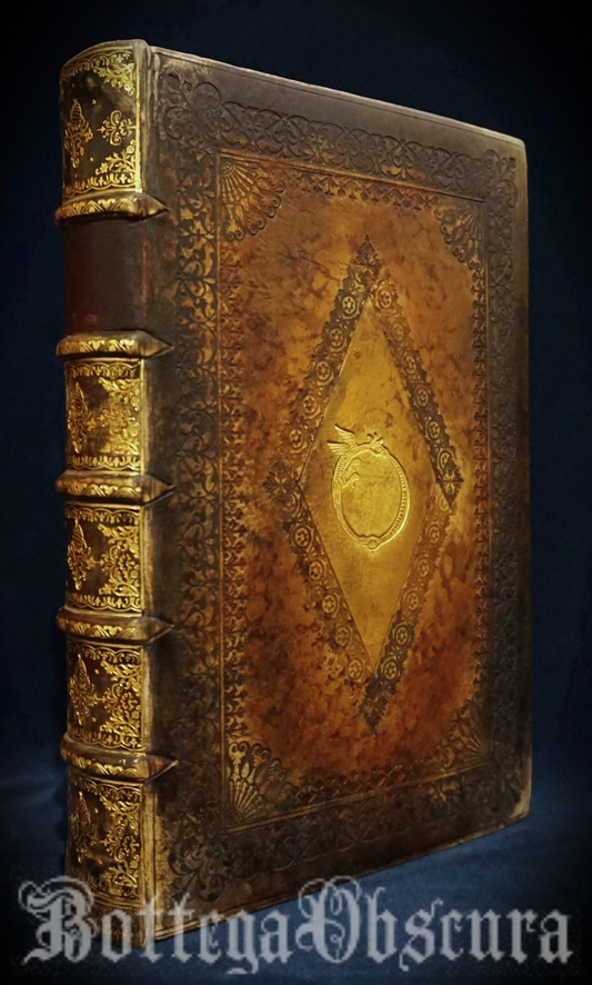 Uroboros journal, large journal, personalized journal.