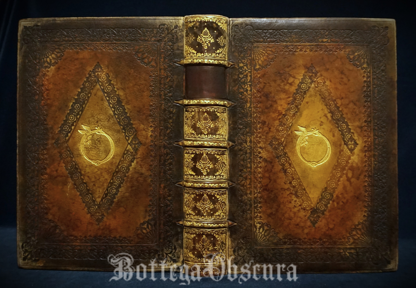 Uroboros journal, large journal, personalized journal.