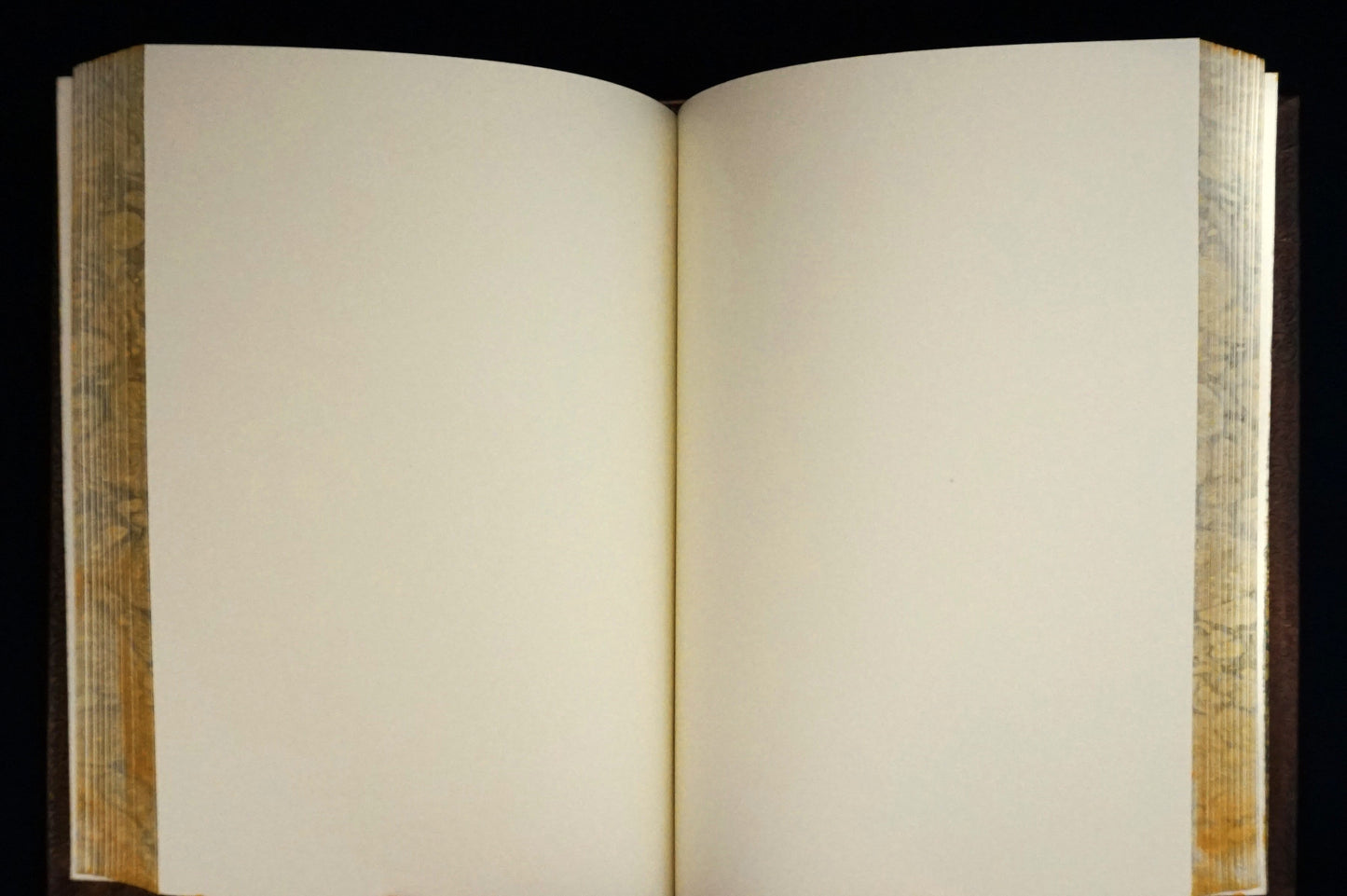 Uroboros journal, large journal, personalized journal.