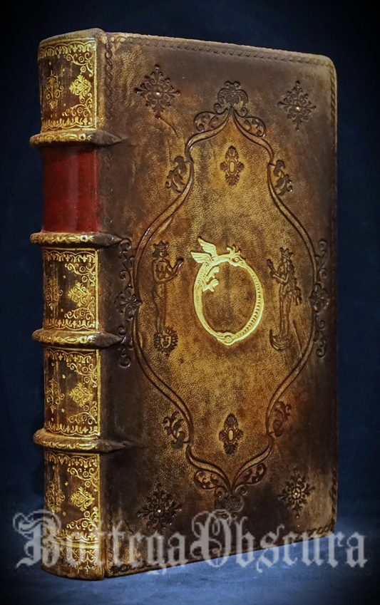 Ouroboros journal, medium size journal, personalized journal