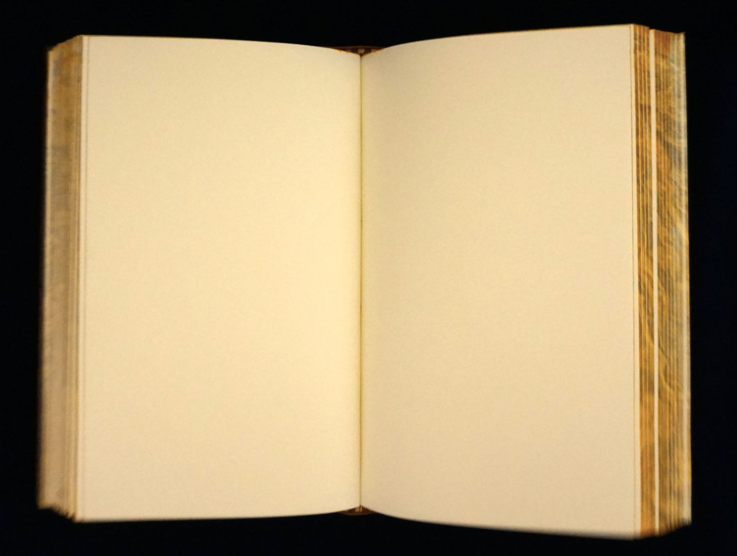 Ouroboros journal, medium size journal, personalized journal