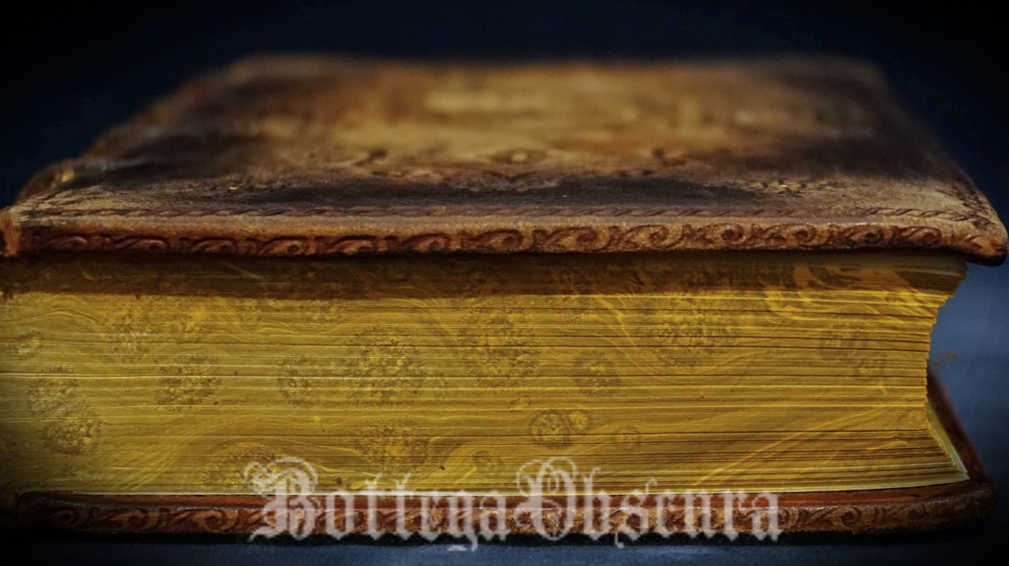 Ouroboros journal, medium size journal, personalized journal