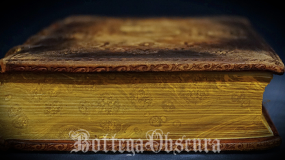 Ouroboros journal, medium size journal, personalized journal