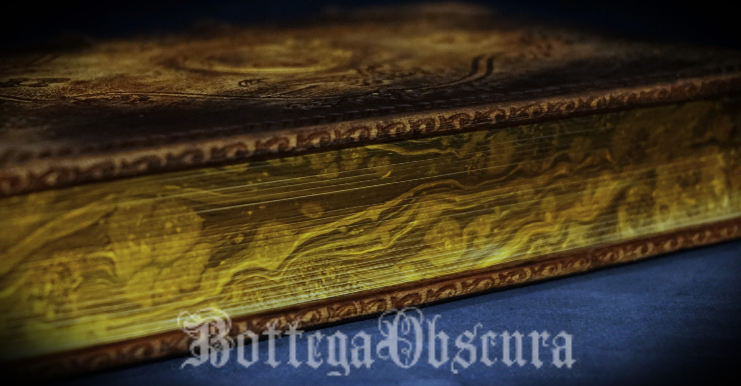 Ouroboros journal, medium size journal, personalized journal