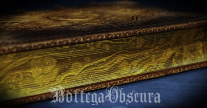 Ouroboros journal, medium size journal, personalized journal