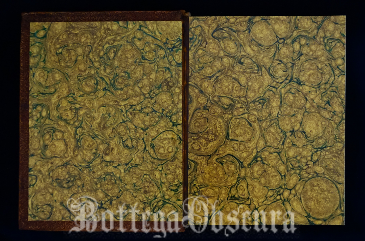 Uroboros journal—large size—personalized journal