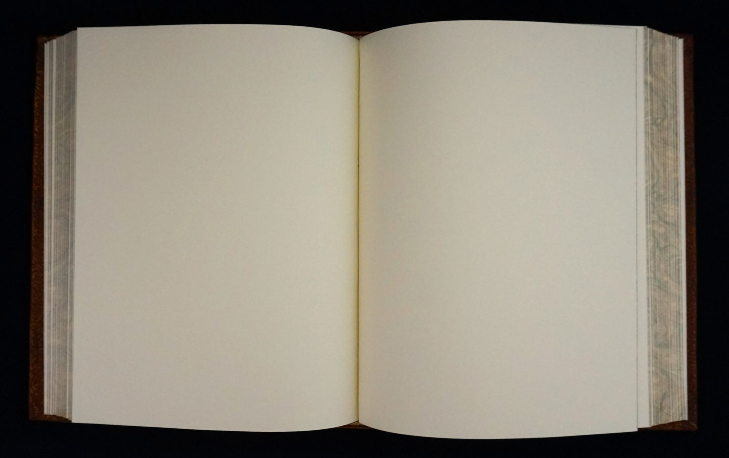 Uroboros journal—large size—personalized journal