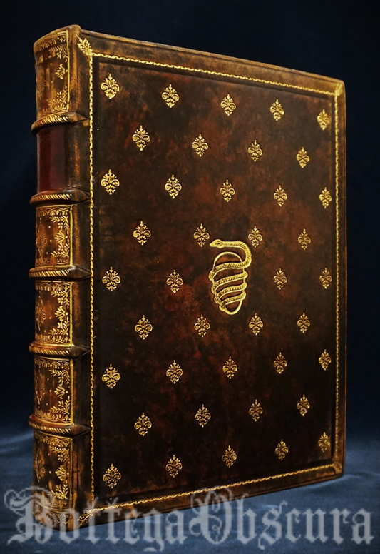 Orphic egg journal—large size—personalized journal