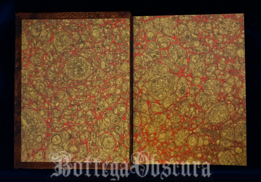 Orphic egg journal—large size—personalized journal