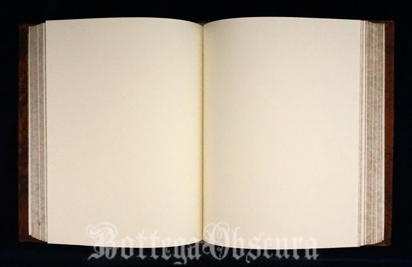 Orphic egg journal—large size—personalized journal