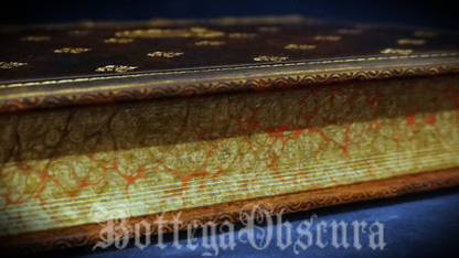 Orphic egg journal—large size—personalized journal