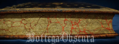 Orphic egg journal—large size—personalized journal