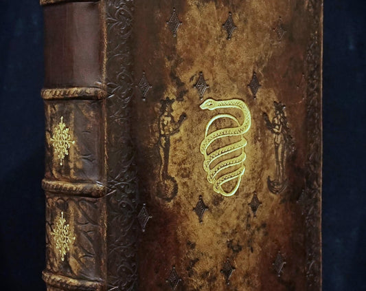 Demiurge journal medium size journal